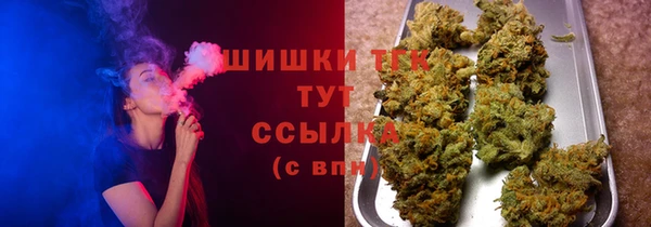 гидра Лагань