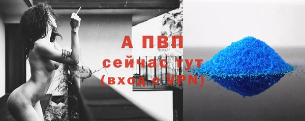 молекула духа Осташков