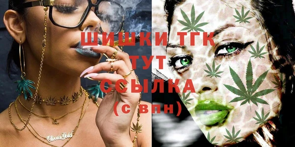 гидра Лагань