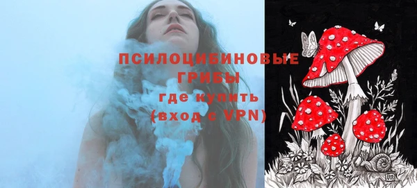 МДПВ Липки