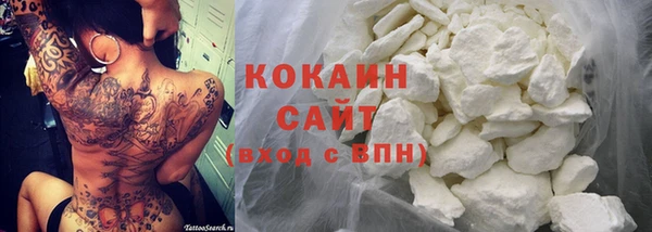 гидра Лагань