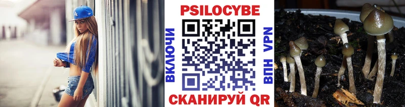MEGA маркетплейс Черемхово Псилоцибиновые грибы Magic Shrooms