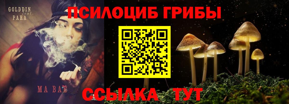 Псилоцибиновые грибы MAGIC MUSHROOMS  Вход с VPN  Черемхово 